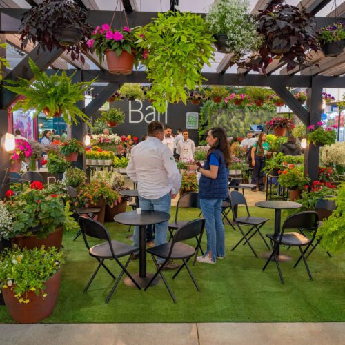 Feira Hortitec Holambra 325 BlueTie Eventos Feira Hortitec Holambra